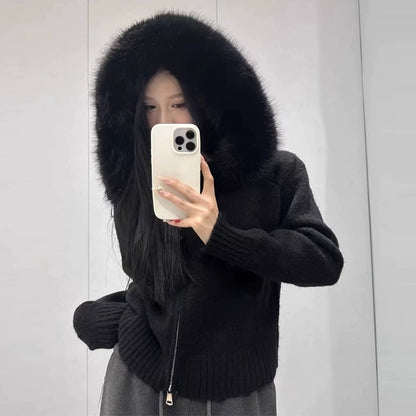 Hoodie Cardigan 00038