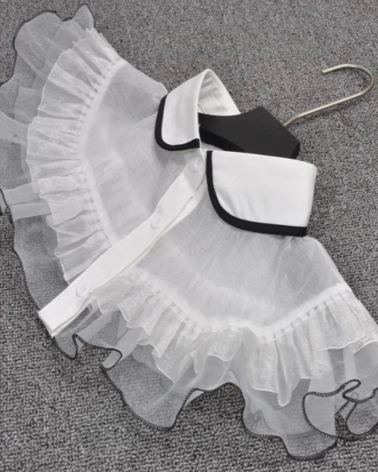 See-Through Collar with Black Line 00076